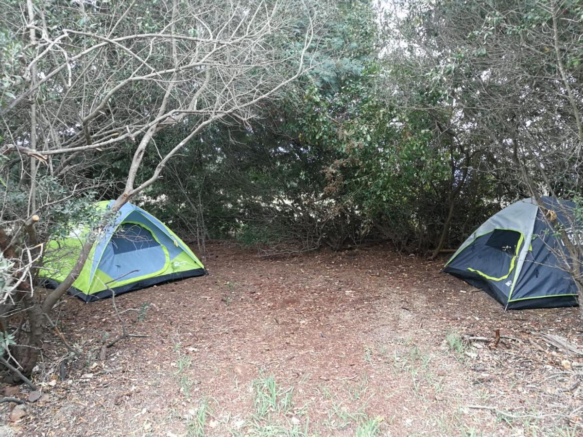 טולבאך Klipfontein Rustic Farm & Camping מראה חיצוני תמונה