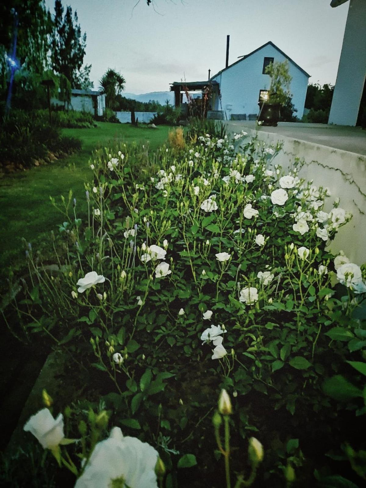 טולבאך Klipfontein Rustic Farm & Camping מראה חיצוני תמונה